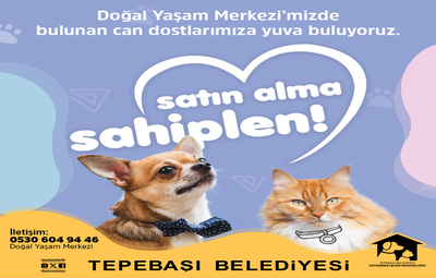 PATİLİ DOSTLAR VATANDAŞLARLA BULUŞACAK